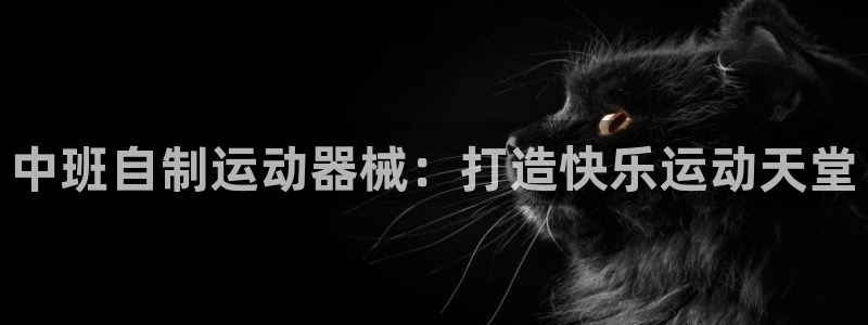 尊龙凯时和九游会哪个平台好一点：中班自制运动器械：打