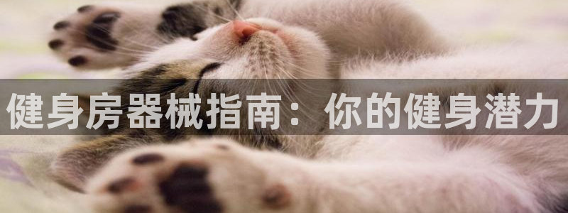 尊龙凯时有没有出不了款的情况：健身房器械指南：你的健身潜力