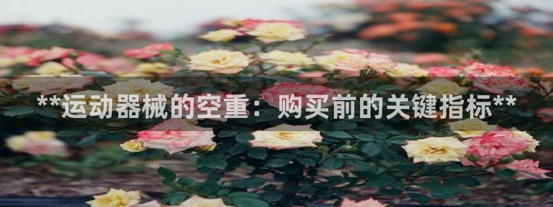 尊龙凯时官方网站：**运动器械的空重：购买前的关键指