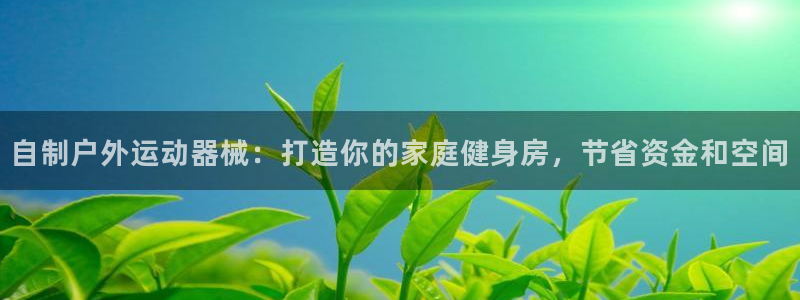 尊龙人生就是博一下下：自制户外运动器械：打造你的家庭健身房，