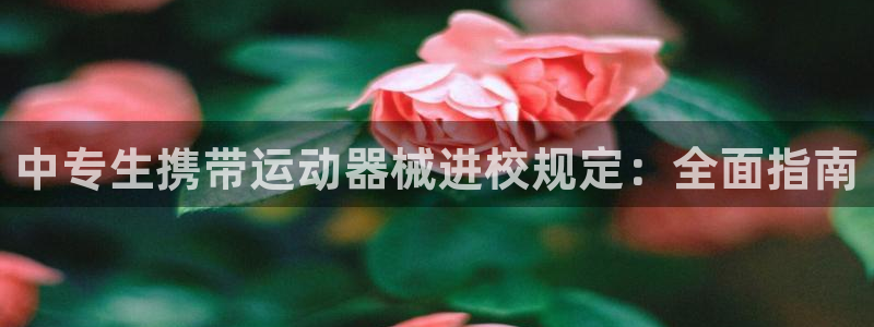 尊龙凯时泰安：中专生携带运动器械进校规定：全面指南