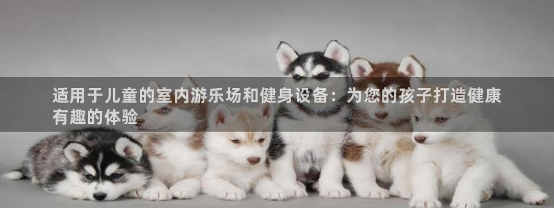 尊龙人生就是博网站：适用于儿童的室内游乐场和健身设备：为您的