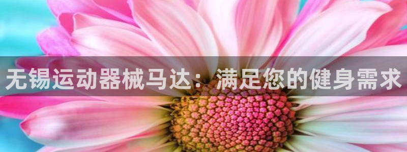 凯时k8官网首页：无锡运动器械马达：满足您的健身需求