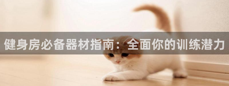尊龙人生就是博管网：健身房必备器材指南：全面你的训练