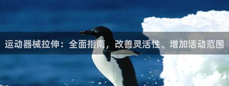 尊龙登录首页：运动器械拉伸：全面指南，改善灵活性、增加活动范