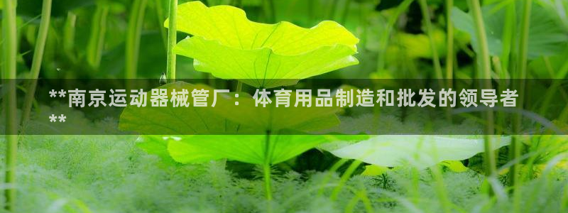 凯时APP官网首页：**南京运动器械管厂：体育用品制