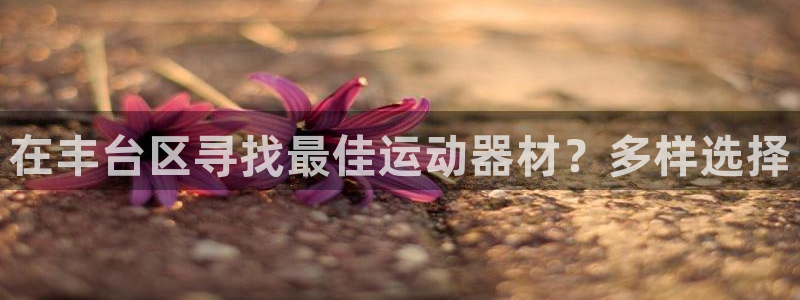 尊龙集团有限公司官网地址：在丰台区寻找最佳运动器材？
