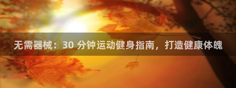 尊龙新版App下载：无需器械：30 分钟运动健身指南