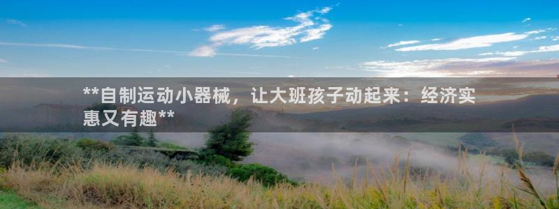 下载尊龙：**自制运动小器械，让大班孩子动起来：经济