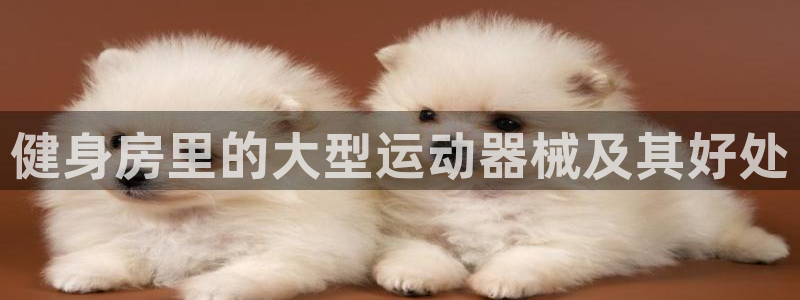 凯时kb88公司简介：健身房里的大型运动器械及其好处