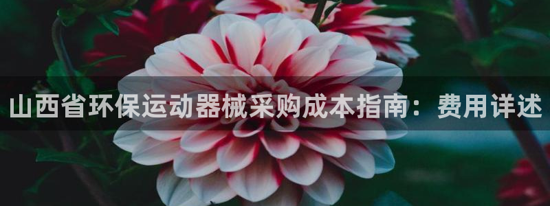尊龙凯时取钱很慢：山西省环保运动器械采购成本指南：费