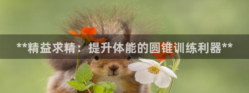 尊龙Ag：**精益求精：提升体能的圆锥训练利器**