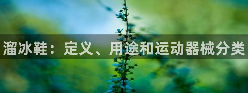 尊龙一生也走不出自己的童年：溜冰鞋：定义、用途和运动