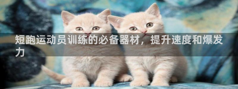 尊龙1003尊龙 - 百度：短跑运动员训练的必备器材