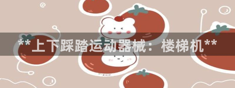 尊龙凯时代理官网入口：**上下踩踏运动器械：楼梯机*