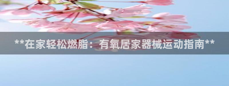 凯时K8国际：**在家轻松燃脂：有氧居家器械运动指南**