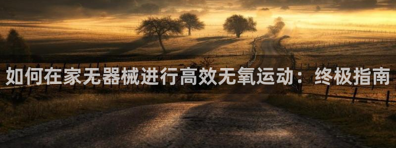 凯时国际官方版：如何在家无器械进行高效无氧运动：终极指南