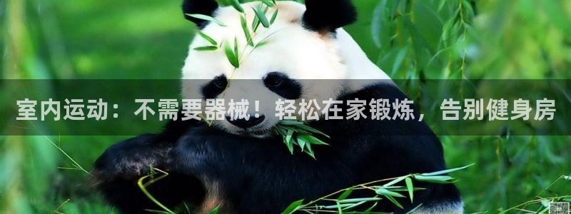 尊龙凯时最新平台登陆：室内运动：不需要器械！轻松在家锻炼，告