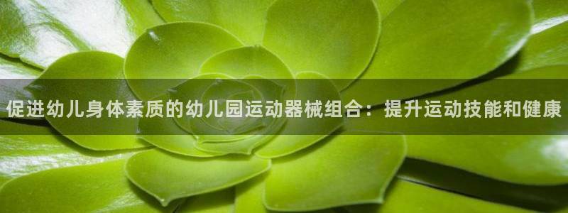 尊龙ag旗舰厅登录 租车app下载：促进幼儿身体素质的幼儿园