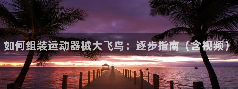 尊龙凯时官网版登录：如何组装运动器械大飞鸟：逐步指南（含视频