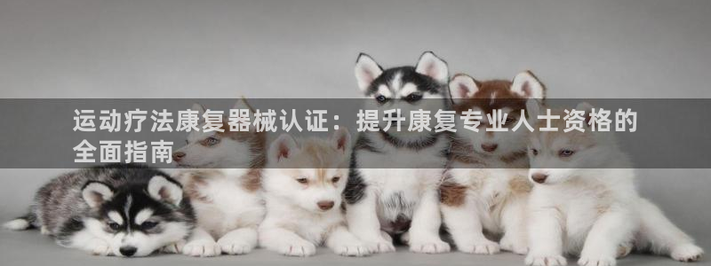 ZL尊龙凯时集团：运动疗法康复器械认证：提升康复专业人士资格