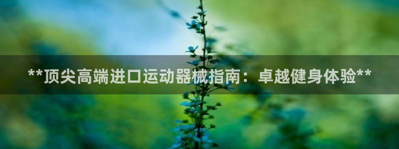 尊龙平台登录：**顶尖高端进口运动器械指南：卓越健身体验**
