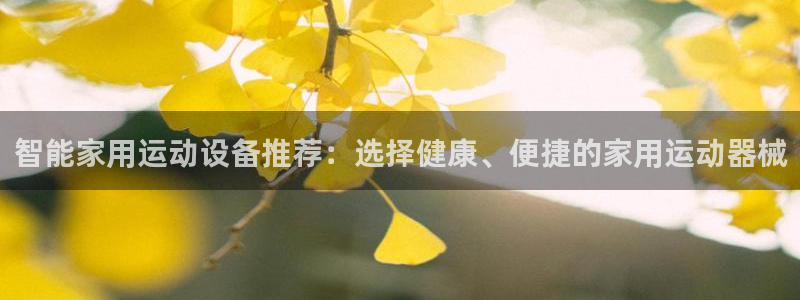 尊龙王t400