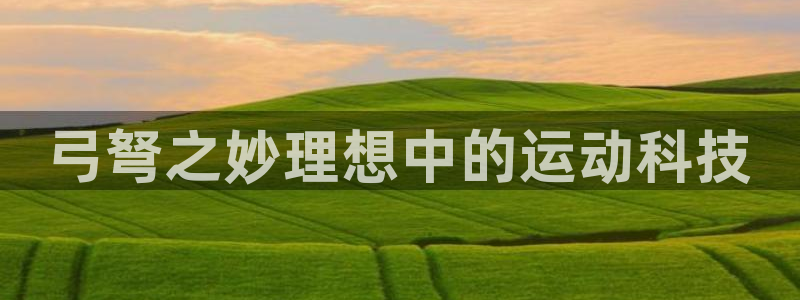 尊龙凯时网站赌愽是真的吗