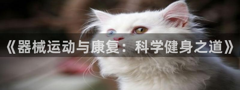 尊龙实业