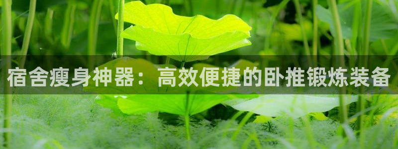 尊龙官网网页版