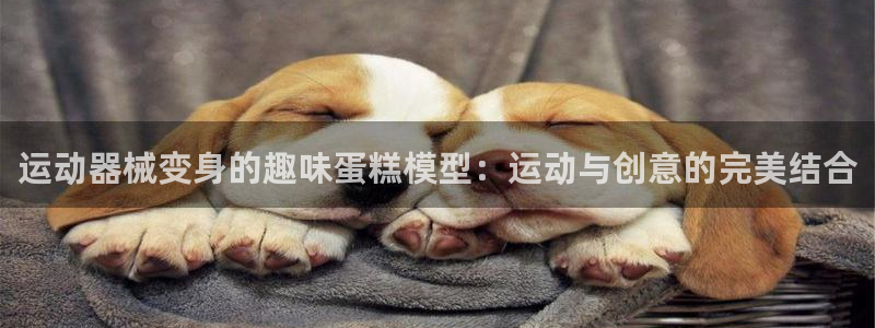 尊龙app认可ag发财网
