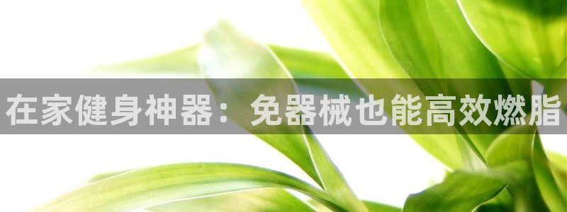 尊龙凯时平台不给出款怎么办：在家健身神器：免器械也能高效燃脂