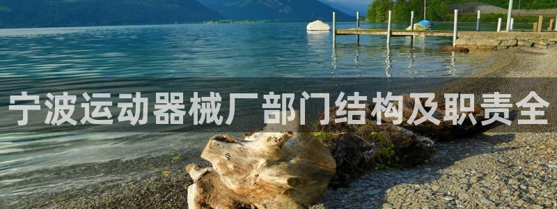 尊龙人生就是博登陆：宁波运动器械厂部门结构及职责全