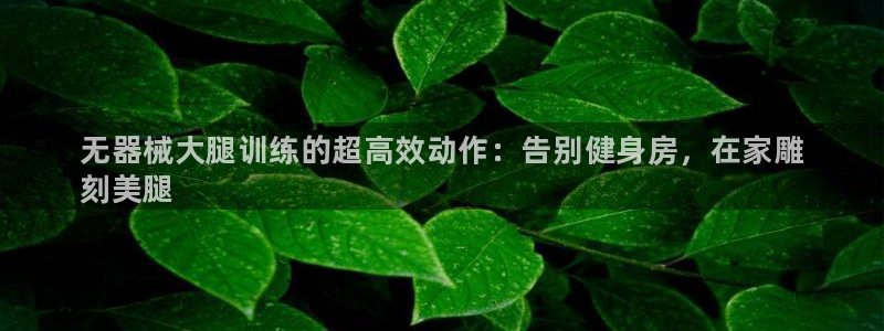 尊龙凯时城游戏官网：无器械大腿训练的超高效动作：告别