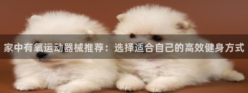 尊龙凯时人生就是搏首页