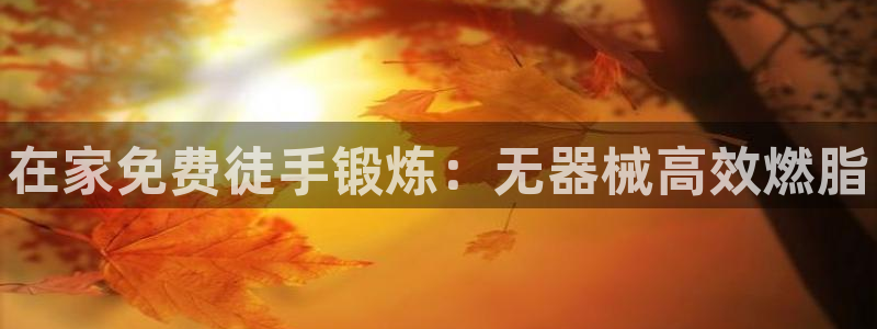 凯时平台怎么样：在家免费徒手锻炼：无器械高效燃脂