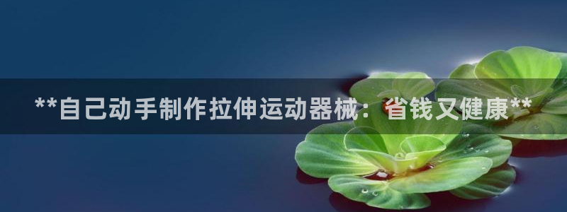 尊龙凯时-人生就是博中国官网最新：**自己动手制作拉伸运动器