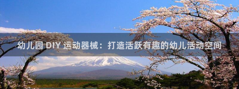 尊龙凯时 人生就是搏!：幼儿园 DIY 运动器械：打造活跃有