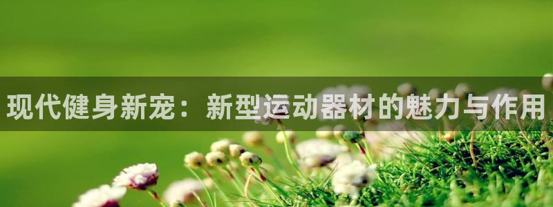 尊龙凯时ag旗舰厅官:现代健身新宠:新型运动器材的魅力与作用