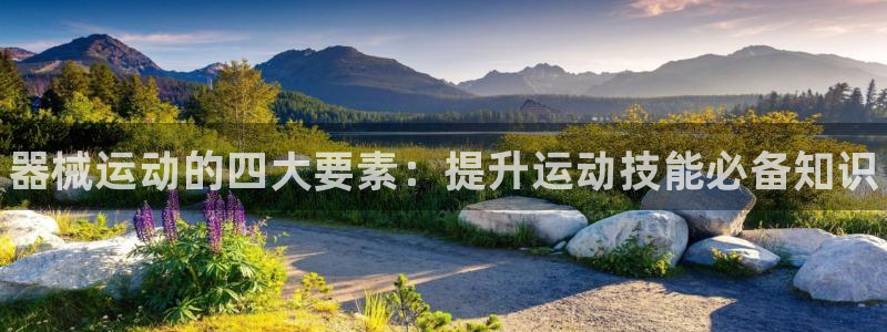 尊龙集团官网：器械运动的四大要素：提升运动技能必备知