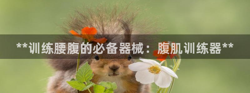 凯时国际平台有人赢吗:**训练腰腹的必备器械:腹肌训练器**