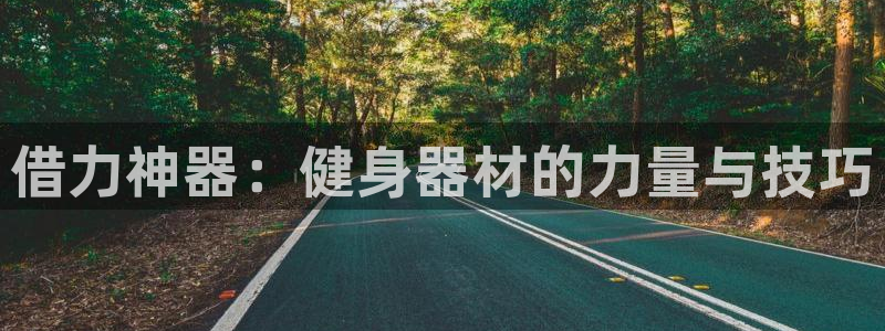 凯时网上官方网站：借力神器：健身器材的力量与技巧