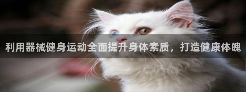 尊龙凯时人生就是博中国官网：利用器械健身运动全面提升