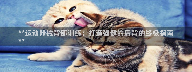 尊龙d88现金 旧版本可靠送38元：**运动器械背部