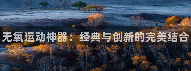 尊龙凯时是哪个国家的：无氧运动神器：经典与创新的完美结合